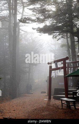 Yama Jinja Shinto Shrine Fujiyoshida Yamanashi Japan Stock Photo