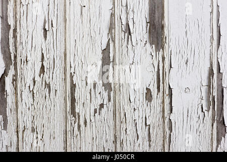Old wooden planks with white paint peeling off Stock Photo