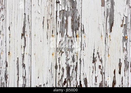 Old wooden planks with white paint peeling off Stock Photo