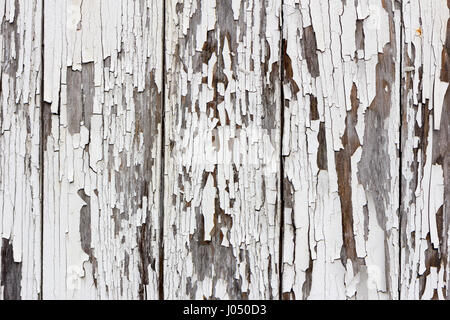 Old wooden planks with white paint peeling off Stock Photo