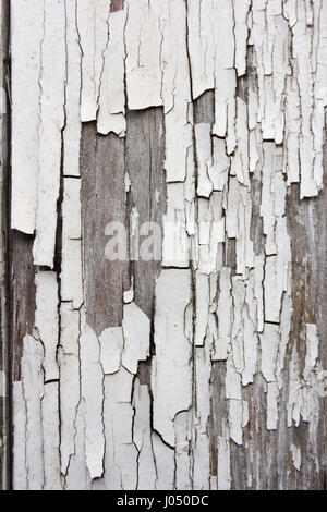 Old wooden planks with white paint peeling off Stock Photo