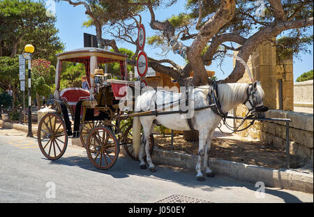 MDINA, MALTA - JULY 29, 2015:  Tourist horse carriage waiting for the tourists in front of the Main gate to Mdina, Malta. Stock Photo