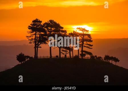 Bridport, Dorset, UK. 10th Apr, 2017. UK Weather. The golden sunrise shines through the trees on top of Colmers Hill near Bridport in Dorset. Picture Credit: Graham Hunt/Alamy Live News Stock Photo