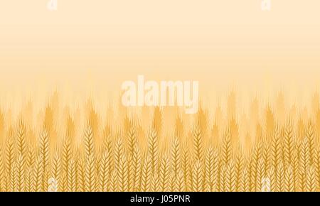 Wheat field background. Agricultural landscape seamless background. Vector illustration Stock Vector