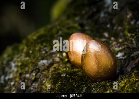 Two golden eggs laying on a mossy surface. Stock Photo