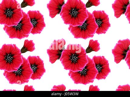 Floral seamless pattern with red flower and pink petal on white. Bright vivid color repeating passion background. Wrapping paper or cloth design. Stock Vector