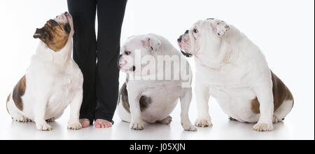 owner with three dogs at her feet on white background Stock Photo