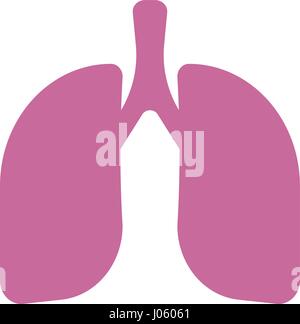 Human lungs isolated on white background Stock Vector Image & Art - Alamy
