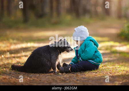 KALININGRAD, RUSSIA: HEART-WARMING pictures have captured the incredible relationship between a young boy and his pet RACCOON. The intimate images show the boy playing with the raccoon, named Murph, and walking it on a lead while others show Murph look lovingly into his friend’s eyes. Other shots show the boy’s parents playing and feeding Murph and some adorable family portraits complete with their unusual pet. The snaps were taken by Russian photographer Konstantin Tronin from Kaliningrad as part of a family photoshoot. Stock Photo