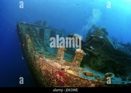 A diver swims around the wreck of SS Thistlegorm. EERIE underwater pictures show inside the wreckage of the sunken British World War Two ship SS Thistlegorm on the seventy-fifth anniversary of her sinking. The series of images show the rusted remains of the merchant navy ship’s cargo which includes motorbikes, army trucks and an aircraft propeller. Other pictures show how sea life have been inhabiting the wreckage. Stock Photo