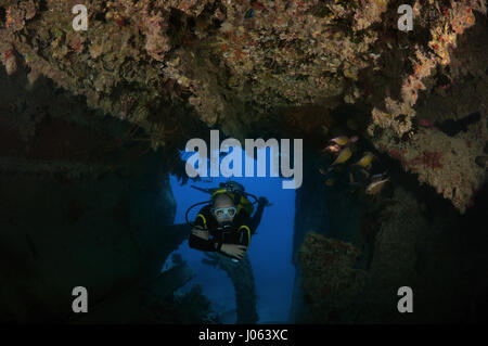 A scuba diver swimming through the wrecked ship. EERIE underwater pictures show inside the wreckage of the sunken British World War Two ship SS Thistlegorm on the seventy-fifth anniversary of her sinking. The series of images show the rusted remains of the merchant navy ship’s cargo which includes motorbikes, army trucks and an aircraft propeller. Other pictures show how sea life have been inhabiting the wreckage. Stock Photo