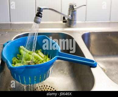 Close up of sink strainer in grass Stock Photo - Alamy