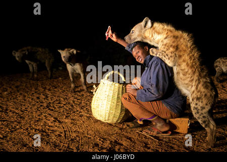 HARAR, ETHIOPIA: New 'Hyena Man' Abbas Saleh with a hyena. MEET the incredible Hyena Man of Harar who is now passing his title onto his son after thirty years of being best friends with a clan of these carnivorous beasts. Pictures show a young heir to the Hyena man title following the centuries-old tradition of protecting his people from possible attack by hyenas by calmly feeding these wild scavengers. He does so completely free from any kind of fear you would associate with being this close to Africa’s most prolific carnivore.  Hyenas have been known to attack and kill humans, but as these r Stock Photo