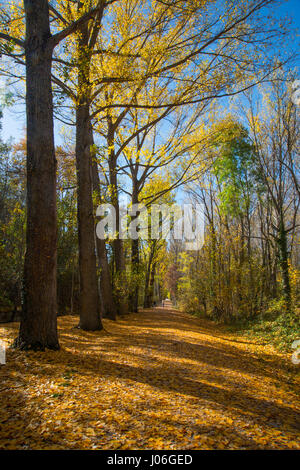 Natural way in Autumn. Rascafria, Madrid province, Spain. Stock Photo