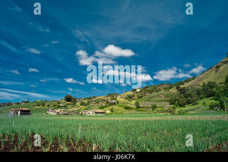 Onion fields surrounding Lago de Tota, Colombia's largest alpine lake. Stock Photo