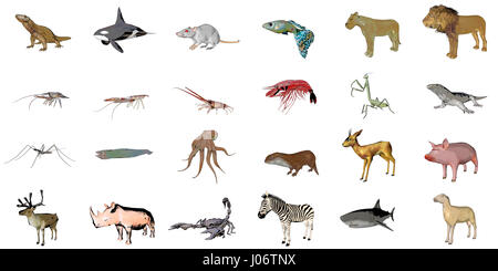 Big collection of sketch animals isolated on white 3d rendering Stock Photo