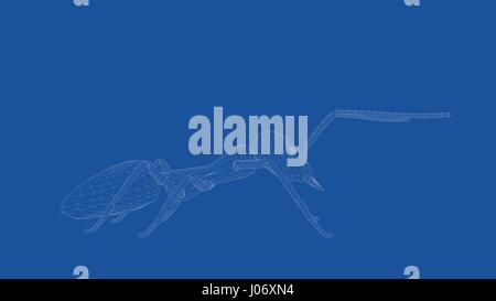 3d rendering of an outlined ant Stock Photo
