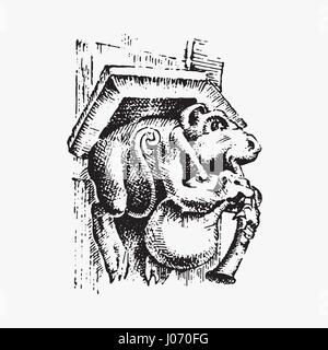 Gargoyle Chimera of Notre-Dame de Paris, engraved, hand drawn vector illustration with gothic guardians include architectual elements, vintage statue medieval Stock Vector