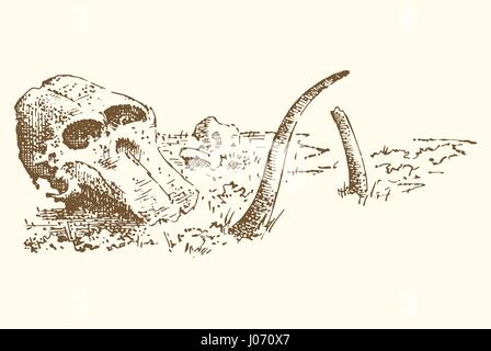 Stone age vector Caveman or troglodyte illustration, mammoth skeleton and skull. prehistoric aged hand drawn or engraved illustration, ancient period concept Stock Vector