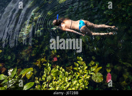 woman swimming in a cenote waterhole in Mexico Stock Photo