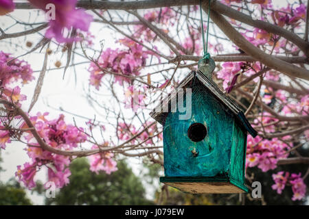 A birdhouse in a front yard in Coronado, CA. Stock Photo