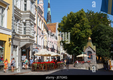 Street in the center of the Tallinn Old Town, Estonia, with many restaurants and terrace bars Stock Photo