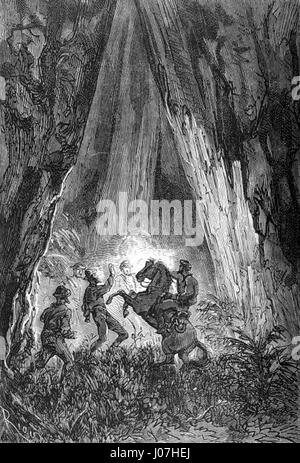Édouard Riou’s 'The Children of Captain Grant' is an illustration from ...