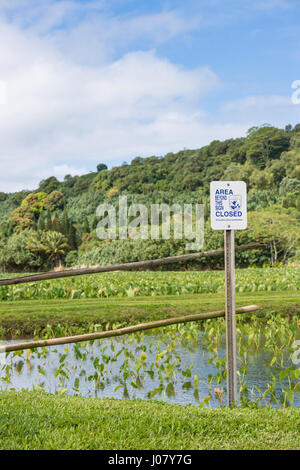 Area Beyond This Sign Closed, Hanalei National Wildlife Refuge, signpost, Kauai, Hawaii, USA Stock Photo