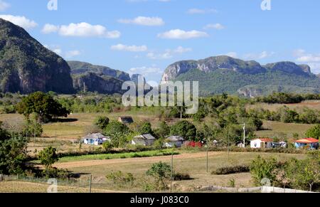 A view across the valley in Vinales towards the Mogotes hills Stock Photo