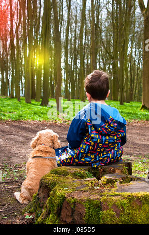 back view of 5 year old boy with his dog sitting on tree stump in woods against sun Stock Photo