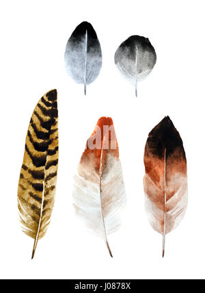 Set of watercolor feathers isolated on white background. Beautiful and gentle watercolor hand drawn feathers for your design, fabric, textile and othe Stock Photo