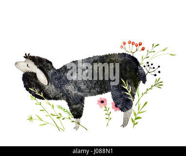 Hand drawn sleep sheep, flowers and berries. Isolated on white background watercolor sleep sheep and other elements for textile, fabric and wallpaper. Stock Photo