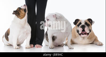 owner with three dogs at her feet on white background Stock Photo