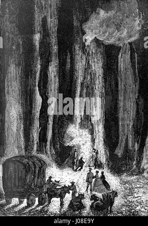 A depiction from the novel 'The Children of Captain Grant' by Édouard ...