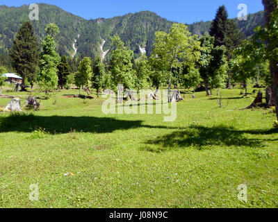 Arangkel Neelum Valley, Kashmir Stock Photo