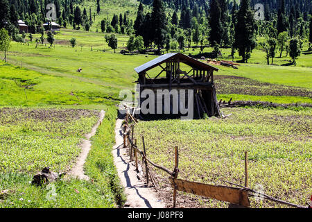 Arangkel Neelum Valley, Kashmir Stock Photo