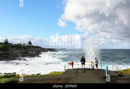 Family watching Kiama Little Blow Hole gushing during a swell, Kiama, Illawarra Coast, New South Wales, NSW, Australia Stock Photo