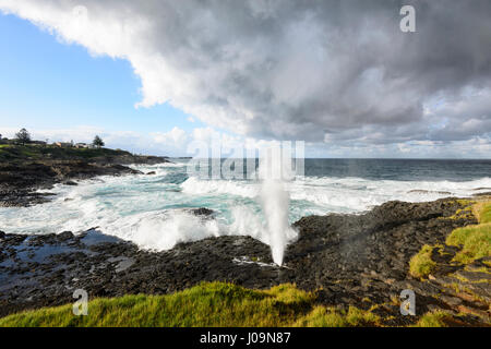 Dramatic view of Kiama Little Blow Hole gushing during a storm, Kiama, Illawarra Coast, New South Wales, NSW, Australia Stock Photo