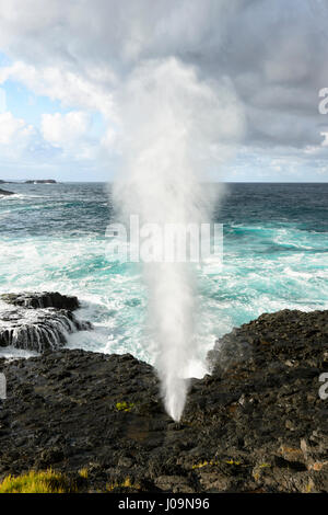 Dramatic view of Kiama Little Blow Hole gushing during a storm, Kiama, Illawarra Coast, New South Wales, NSW, Australia Stock Photo