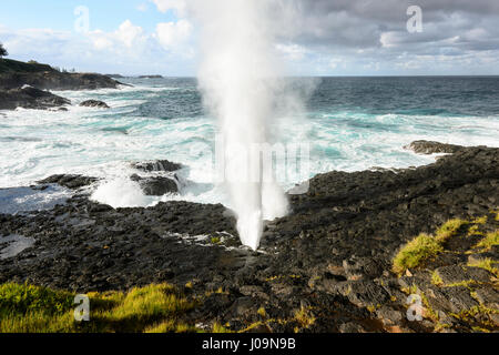 Dramatic view of Kiama Little Blow Hole gushing during a storm, Kiama, Illawarra Coast, New South Wales, NSW, Australia Stock Photo