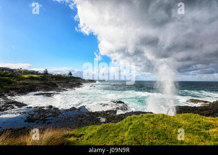 Dramatic view of Kiama Little Blow Hole gushing during a storm, Kiama, Illawarra Coast, New South Wales, NSW, Australia Stock Photo