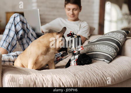 Who are you. Delighted boy using laptop, lying on the sofa on the background while looking at his pet Stock Photo