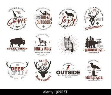 Wild animal badges set. Included giraffe, owl, fox and deer and other shapes. Full set. Stock vector isolated on white background Stock Vector