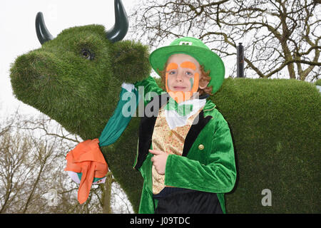 Boy in fancy dress,St Patrick's Day Parade,Green Park,London.UK Stock Photo