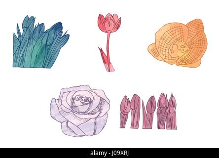 Vector icon set of flowers Stock Vector
