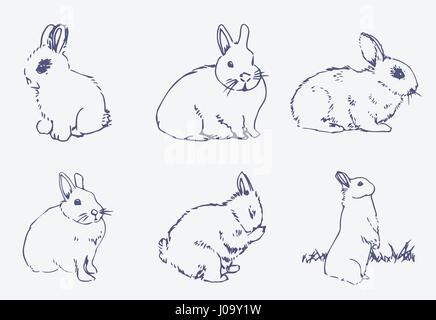 Vector set of rabbits Stock Vector