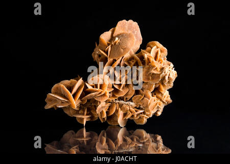 Desert Rose, gypsum Rose, Sand Rose, Barytrose, origin Sahara, Tunisia Stock Photo