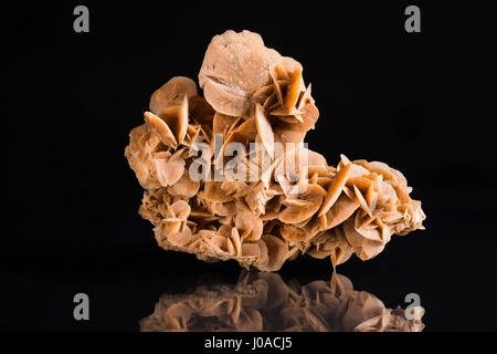 Desert Rose, gypsum Rose, Sand Rose, Barytrose, origin Sahara, Tunisia Stock Photo