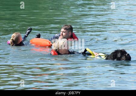 Search And Rescue Dog Training Essex Search And Rescue Dog Training Essex
