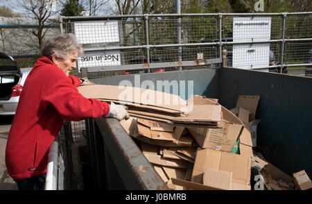 Elderly woman dropping of sheets of cardboard for recycling at the council run recycling centre in Winchester UK Stock Photo